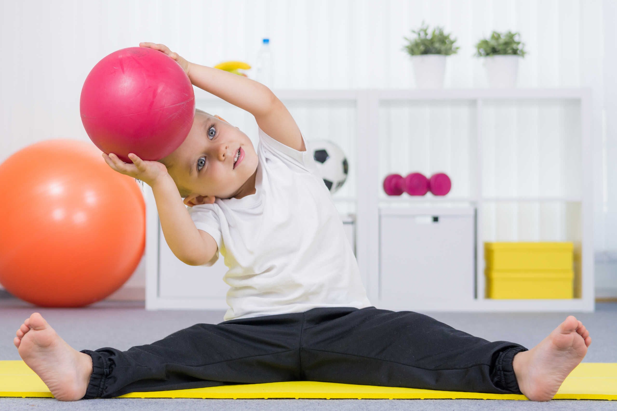 Occupational Therapy
